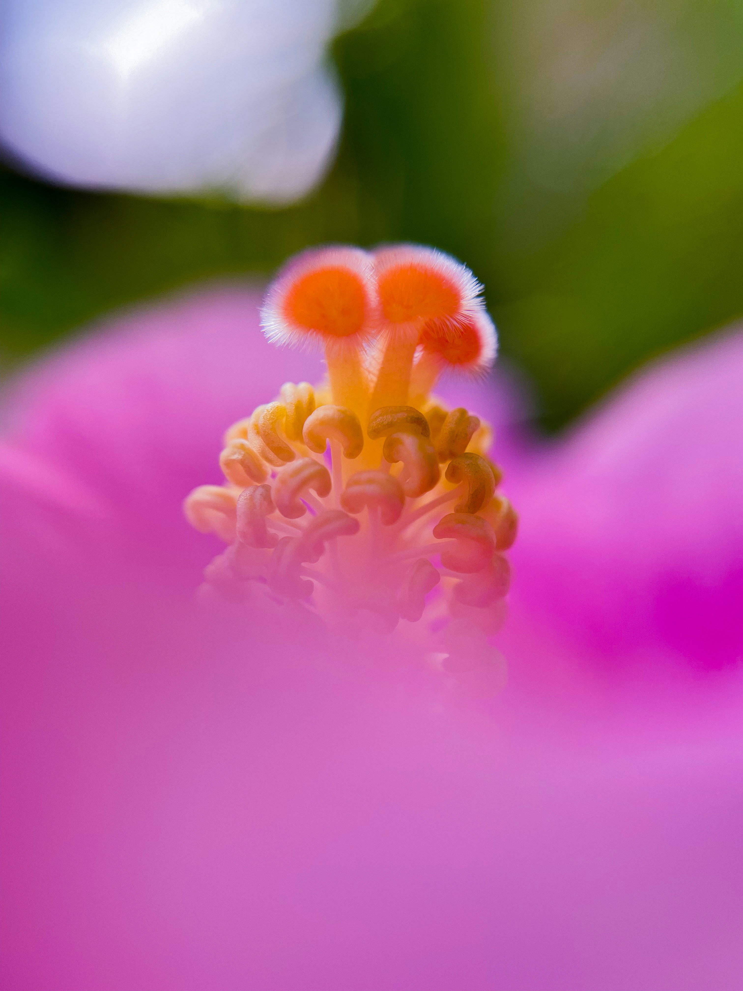 Photo by mdafzalsre82