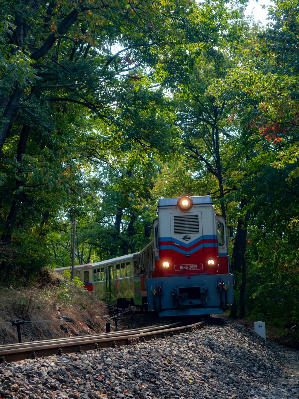 a train traveling through a lush green forest