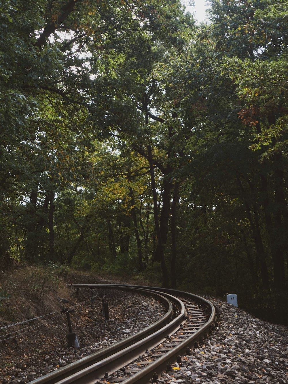 a train track in the middle of a wooded area