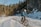 a man riding a bike down a snow covered road