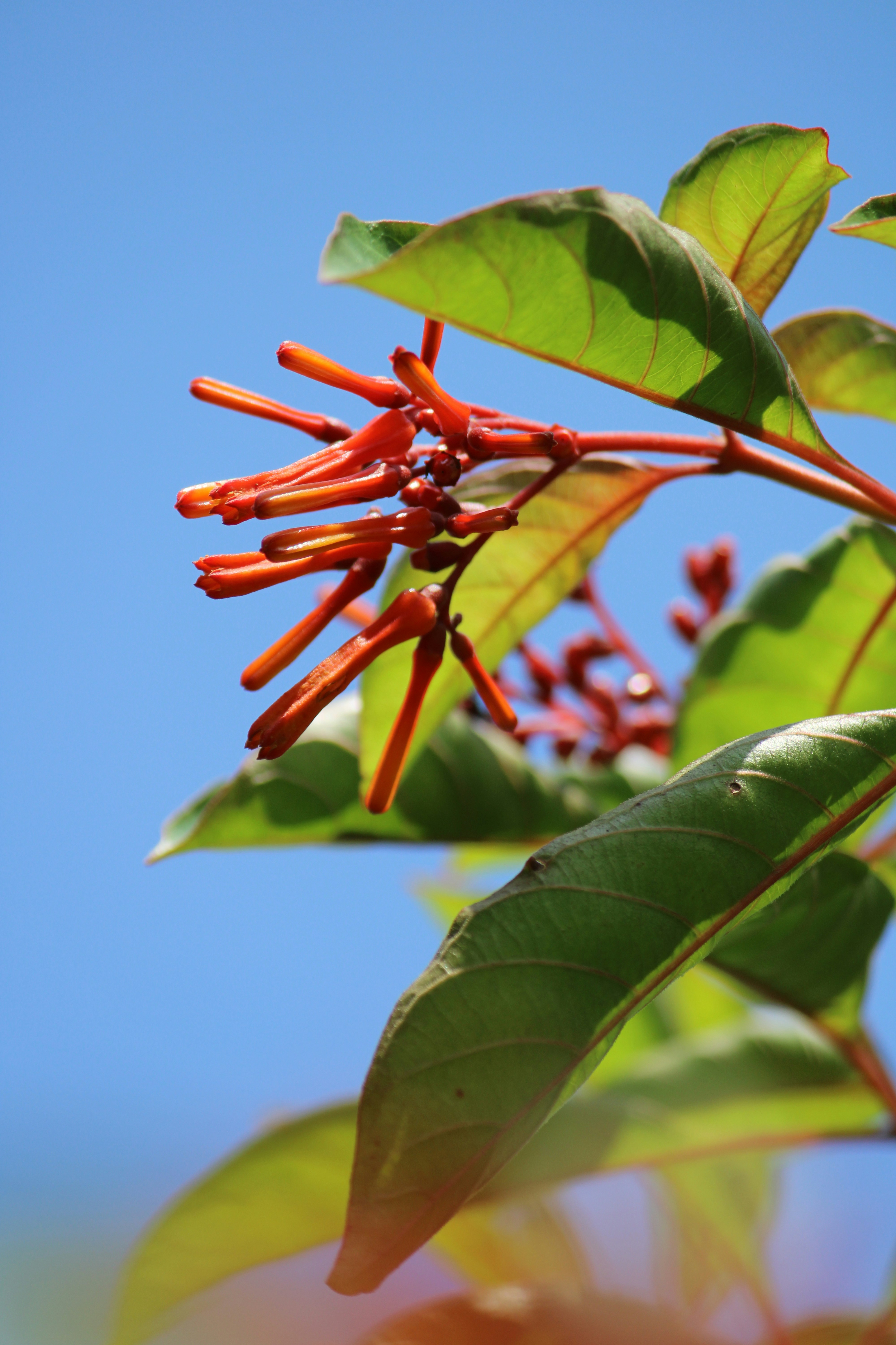 Photo by shabiba_amin