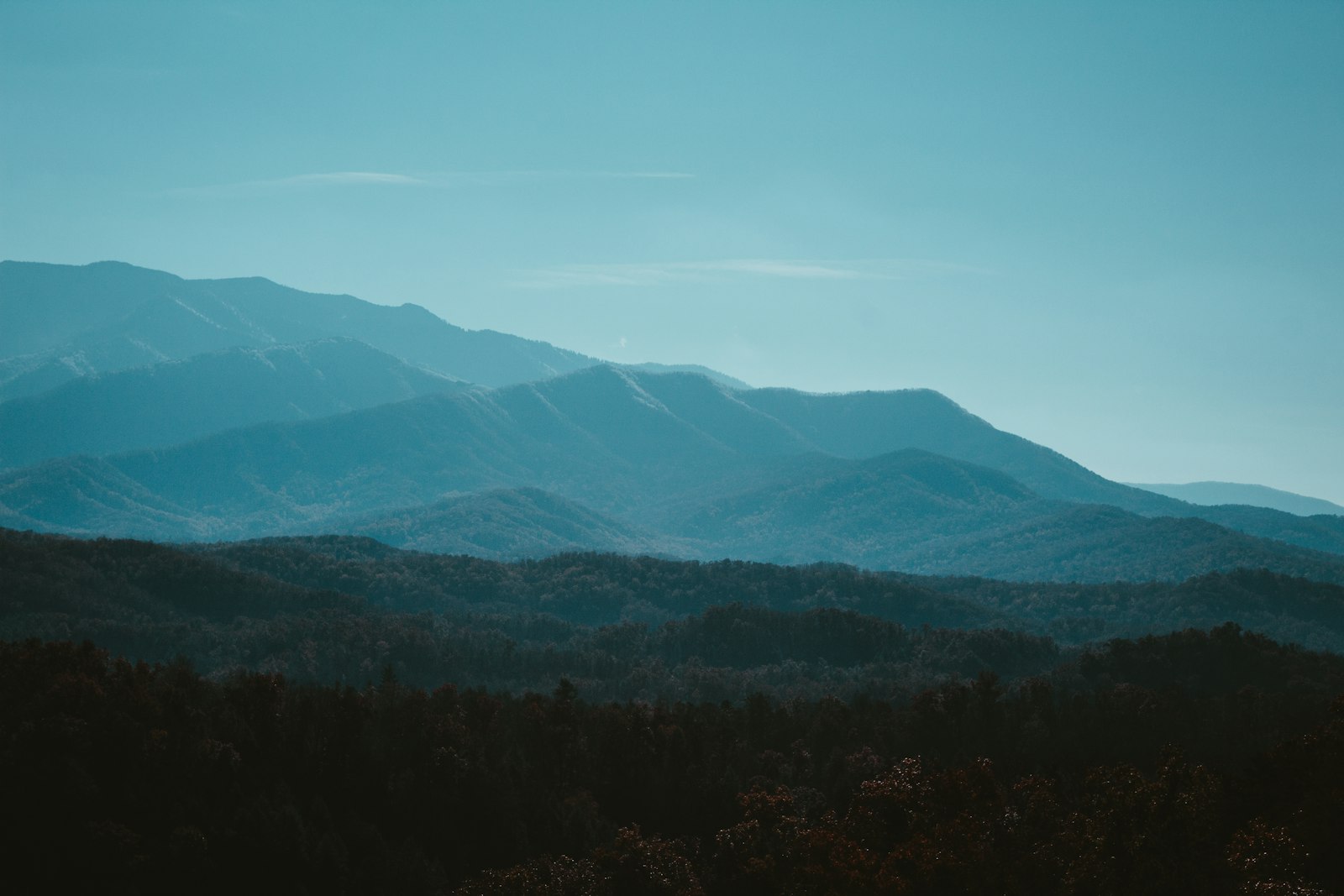 Photo by Sean Foster on Unsplash