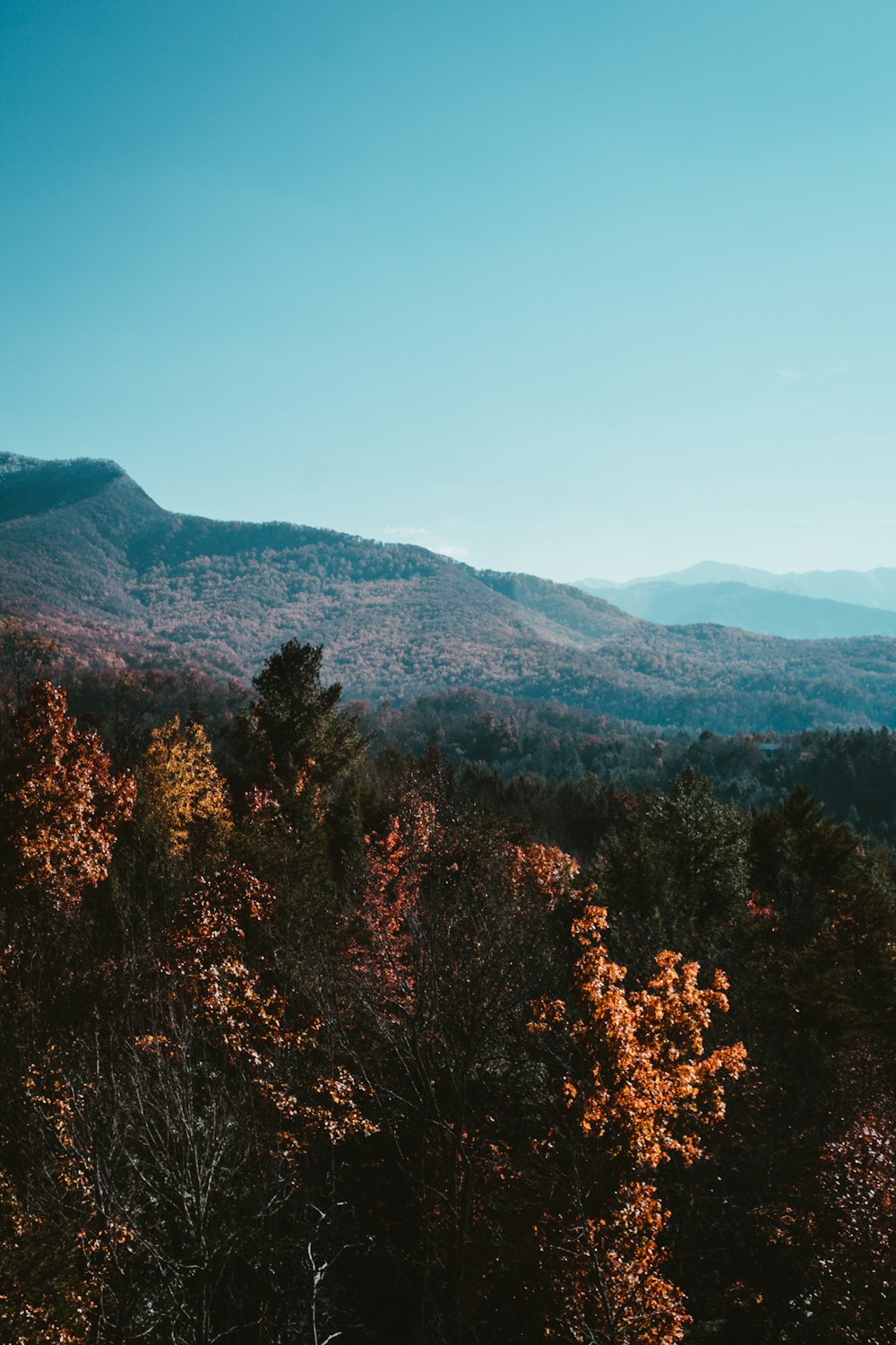 a view of a mountain range with trees in the foreground