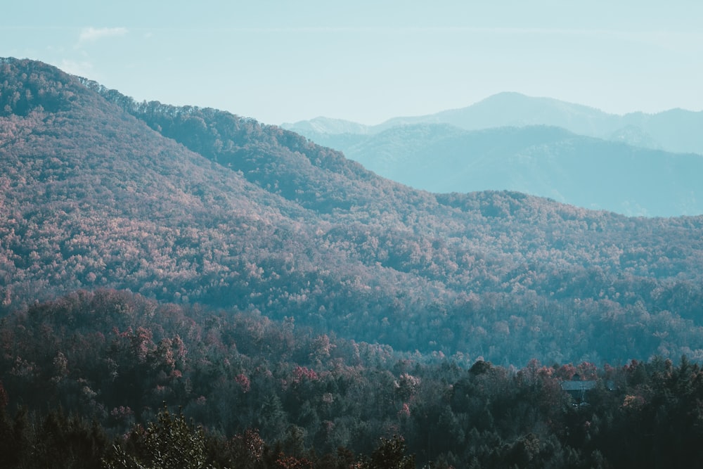 a view of a mountain range with trees in the foreground