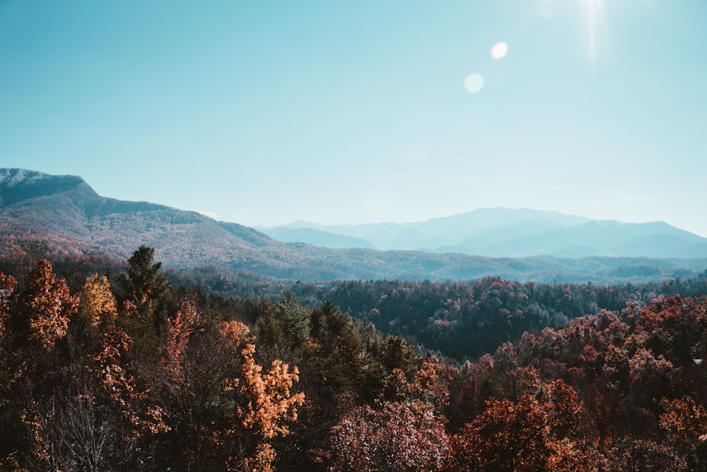 a view of a mountain range with trees in the foreground