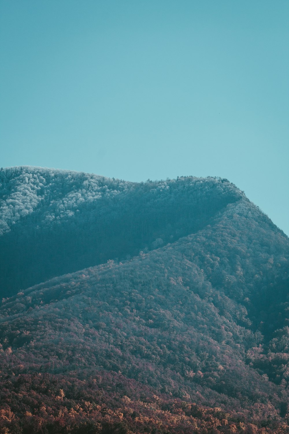 a mountain covered in trees under a blue sky