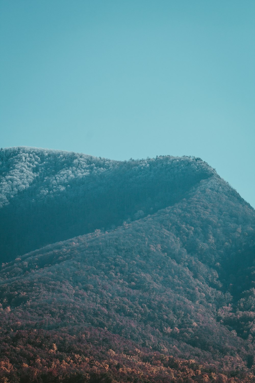 una montaña cubierta de árboles bajo un cielo azul