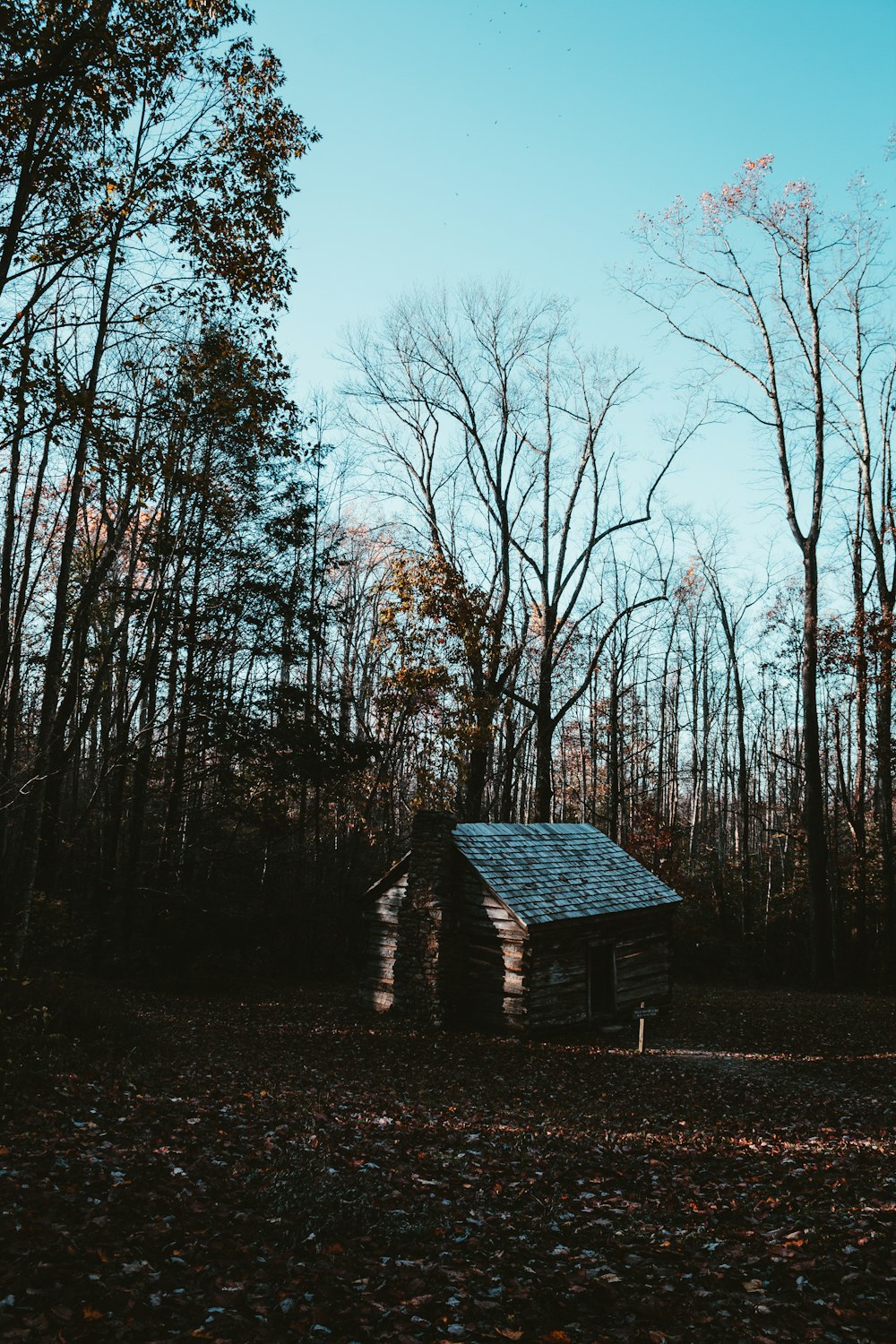 a small cabin in the middle of a forest