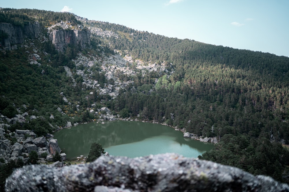 a view of a lake from a high point of view