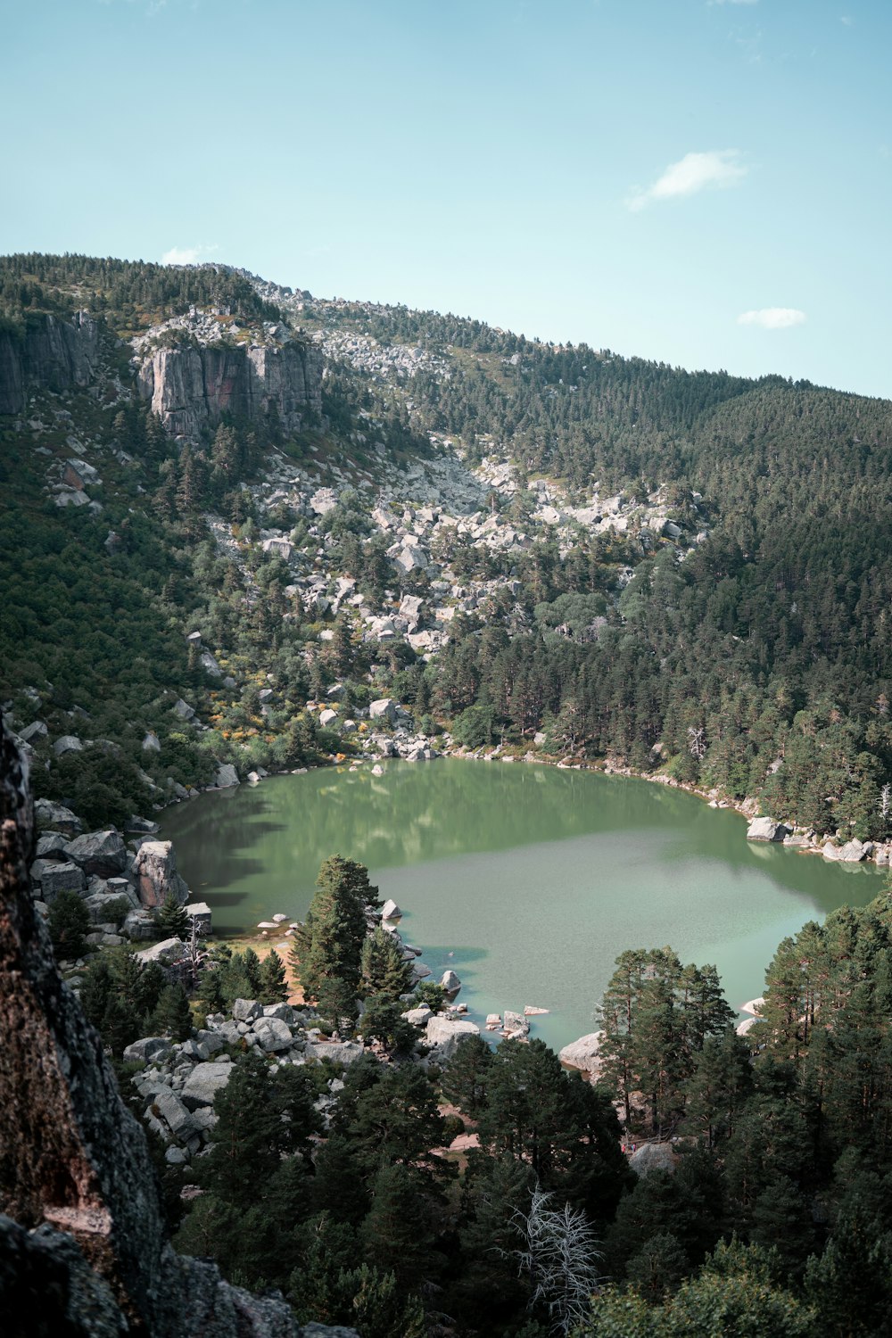 a view of a lake surrounded by trees