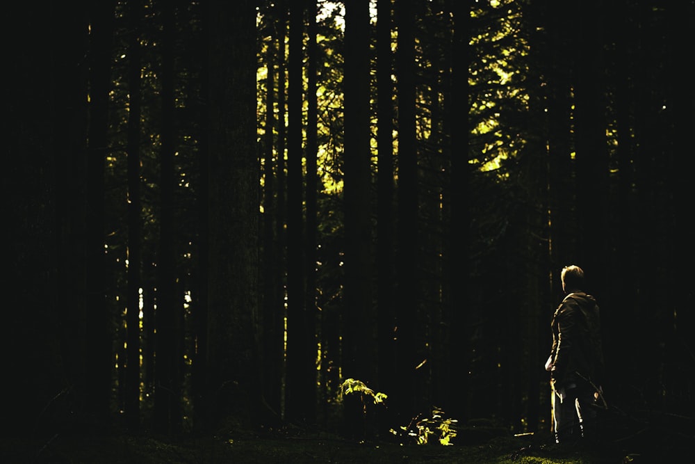 a person walking through a forest at night