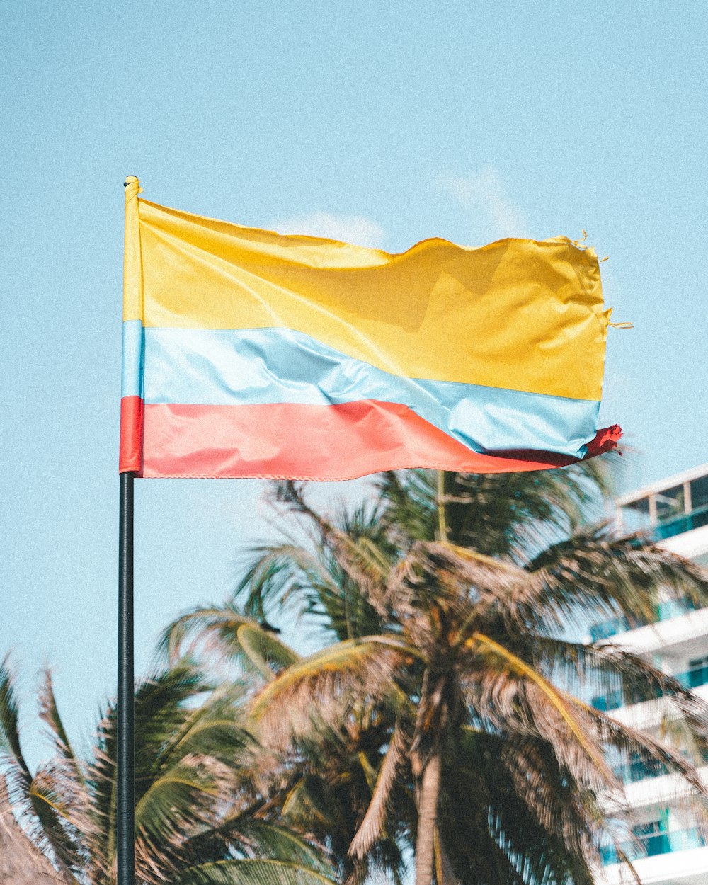 Un drapeau flottant au vent avec des palmiers en arrière-plan