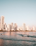 a group of people riding surfboards on top of a body of water
