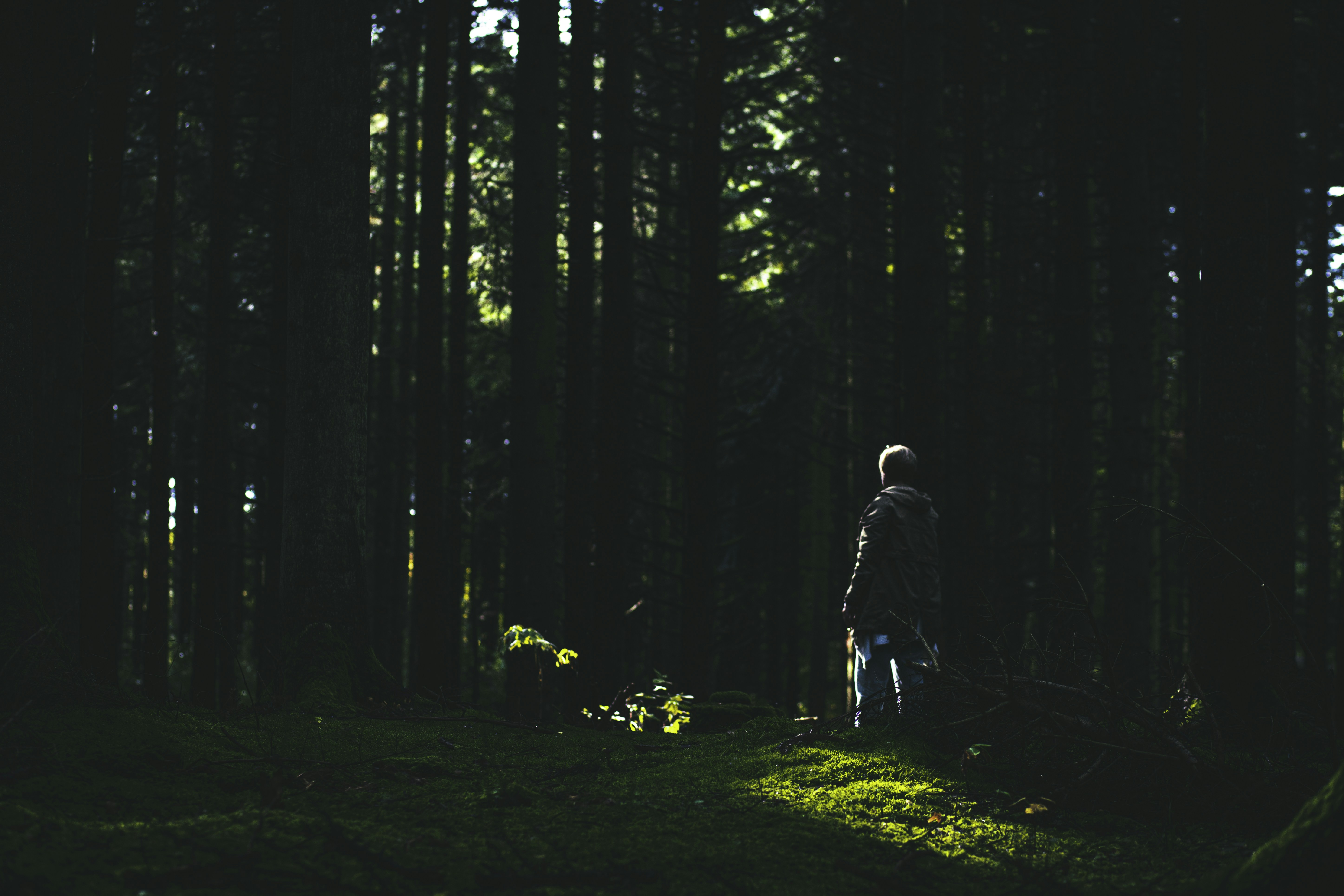 Photo by zeihlund