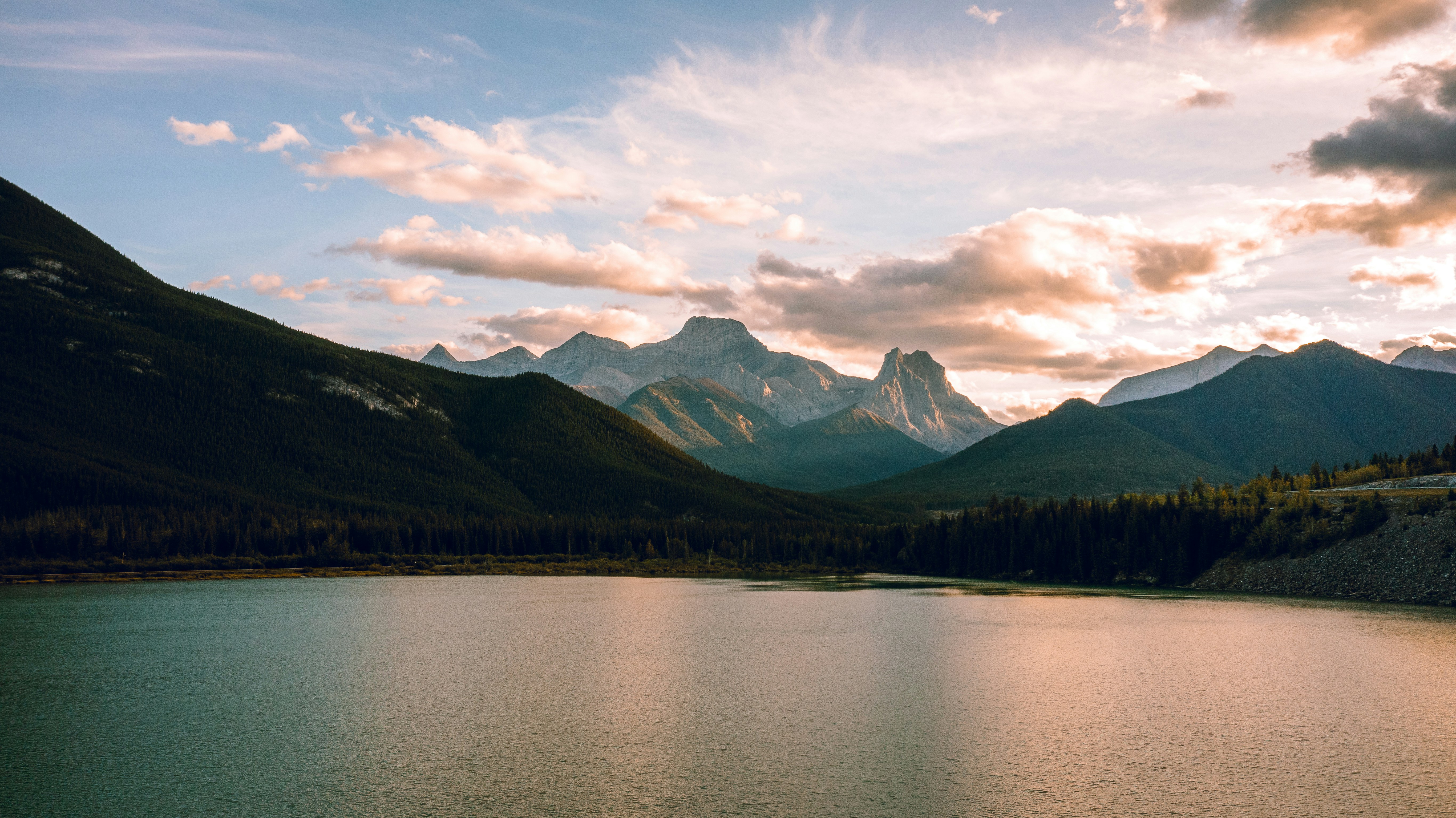 Photo by thelifeofdev