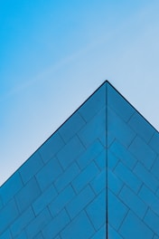 executive coaching
