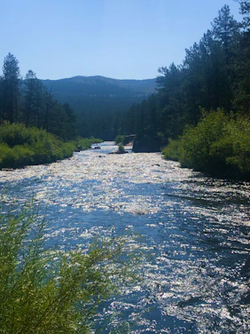 A serene river flowing gently through a lush green valley under a clear blue sky.