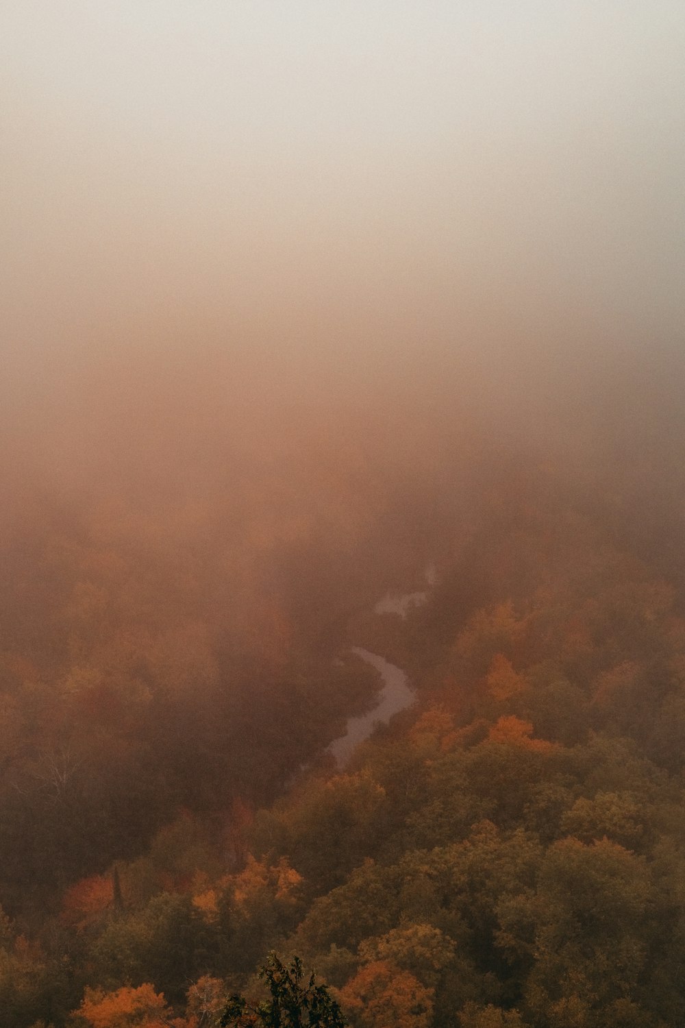 a foggy landscape with a river running through it