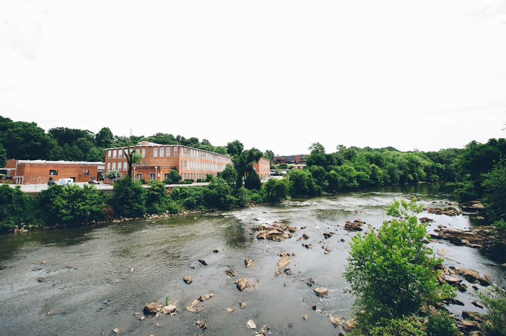 a river running through a lush green forest