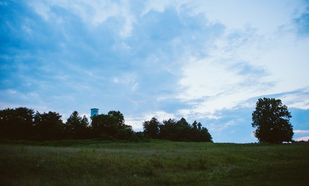 a grassy field with trees and a tower in the distance