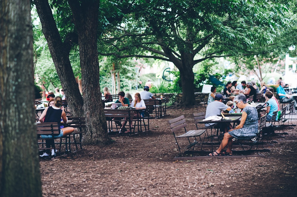 a group of people sitting at tables under a tree