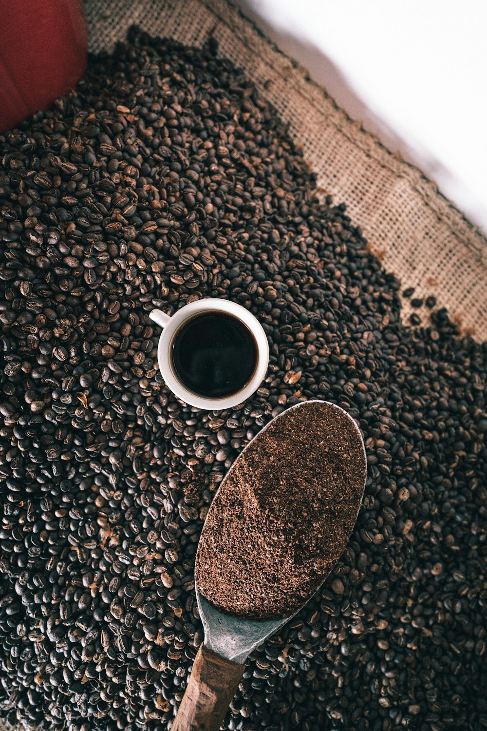 a scoop of coffee sitting on top of a pile of coffee beans