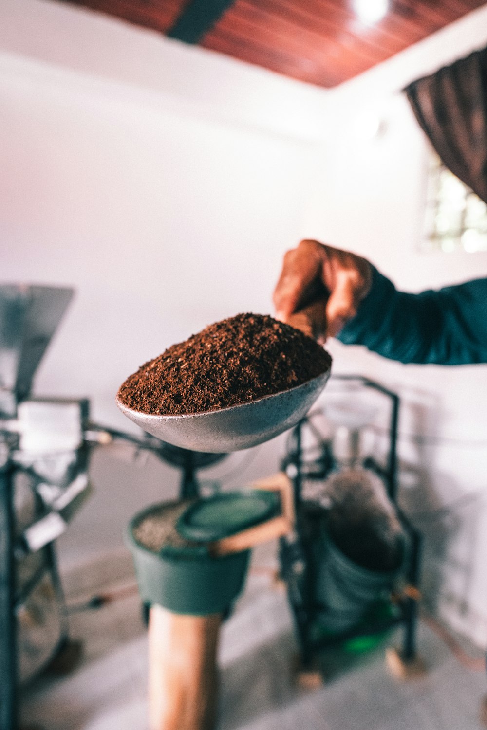 a person holding a bowl of coffee beans