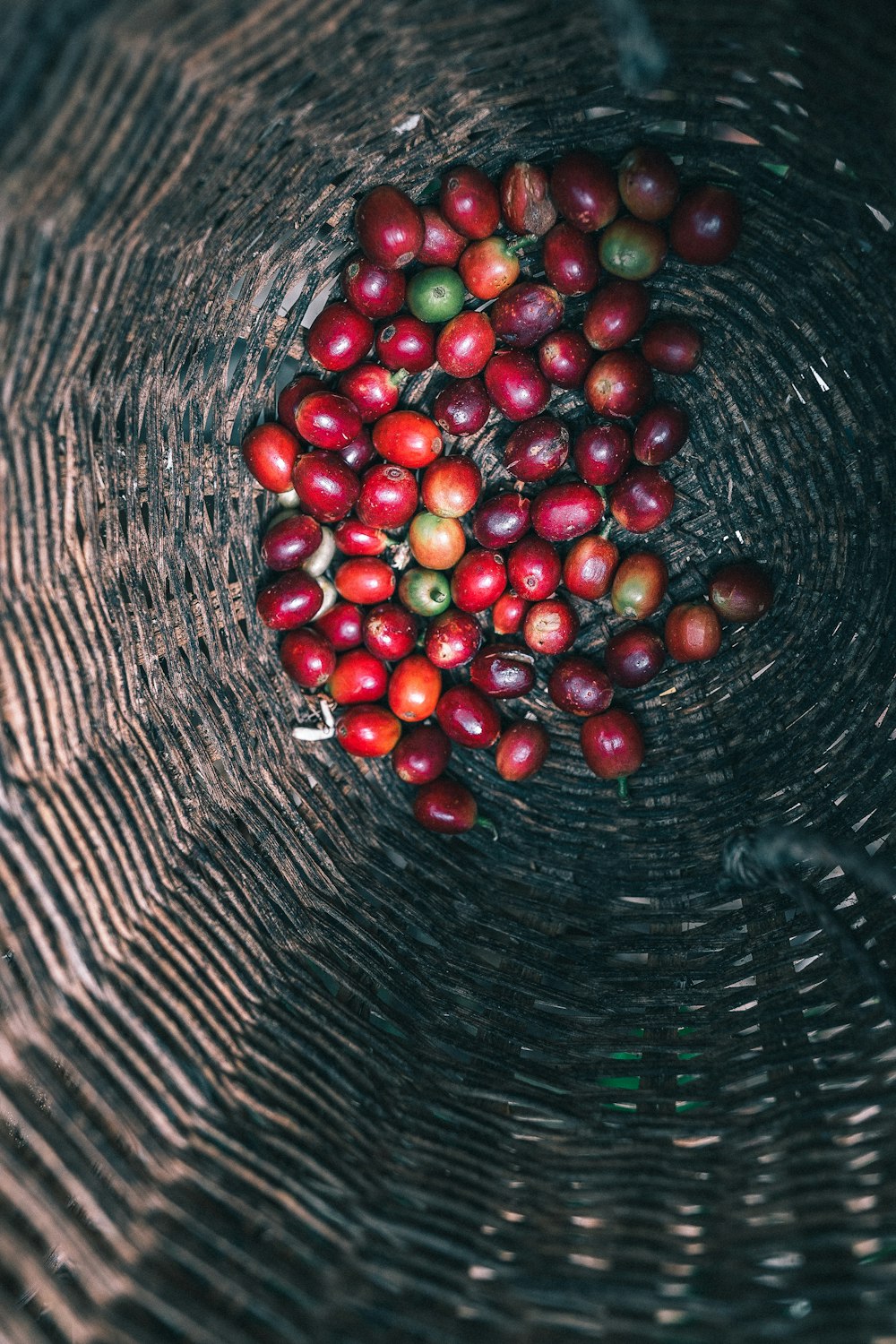 a bowl filled with lots of red and green apples