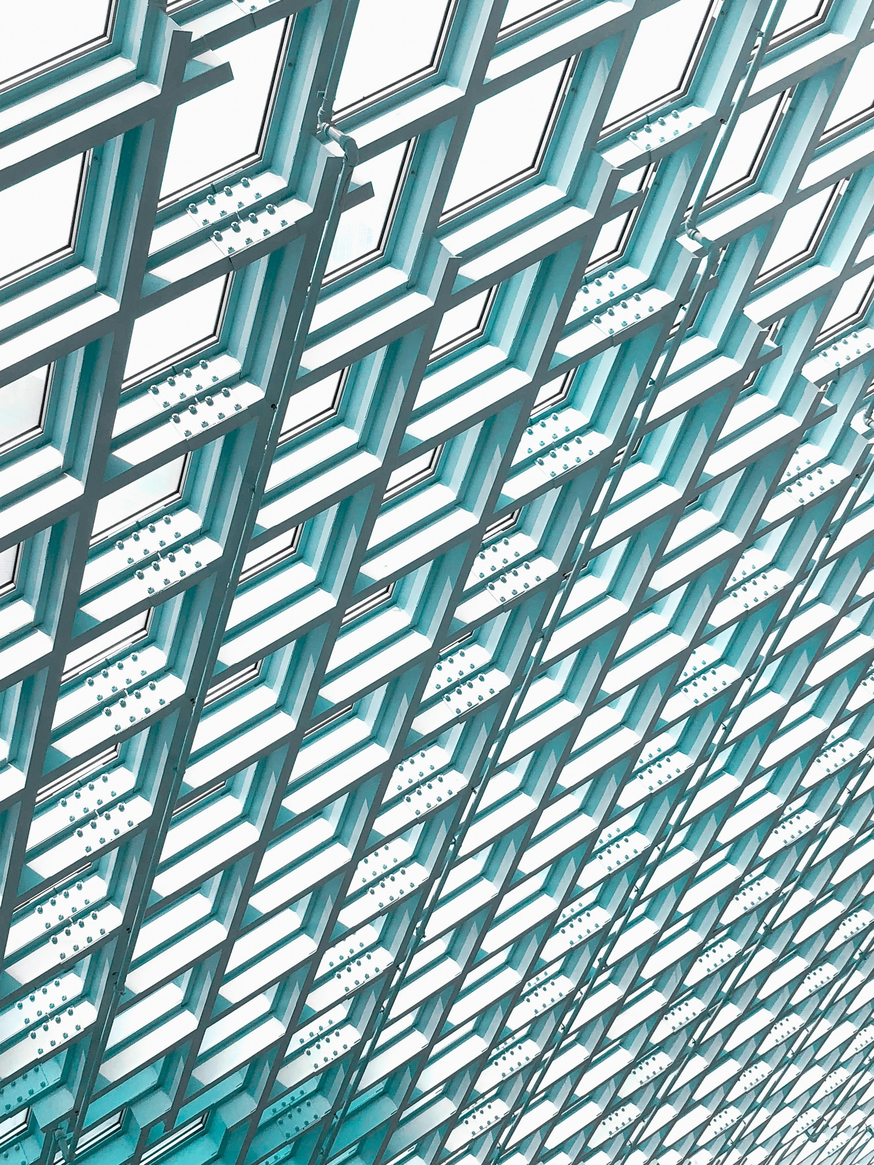 Photo by skyler_sawyer