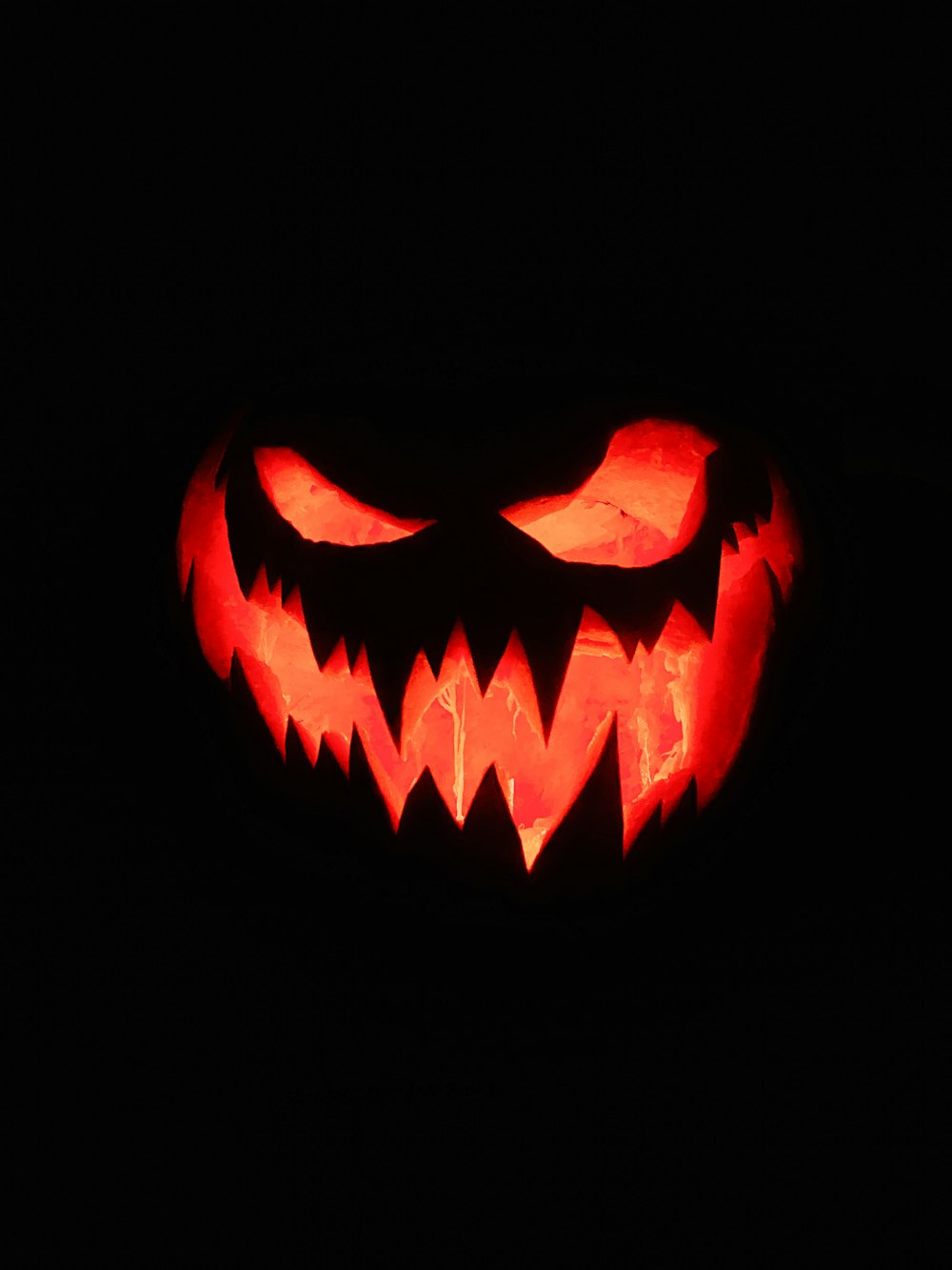 a lit up jack o lantern in the dark