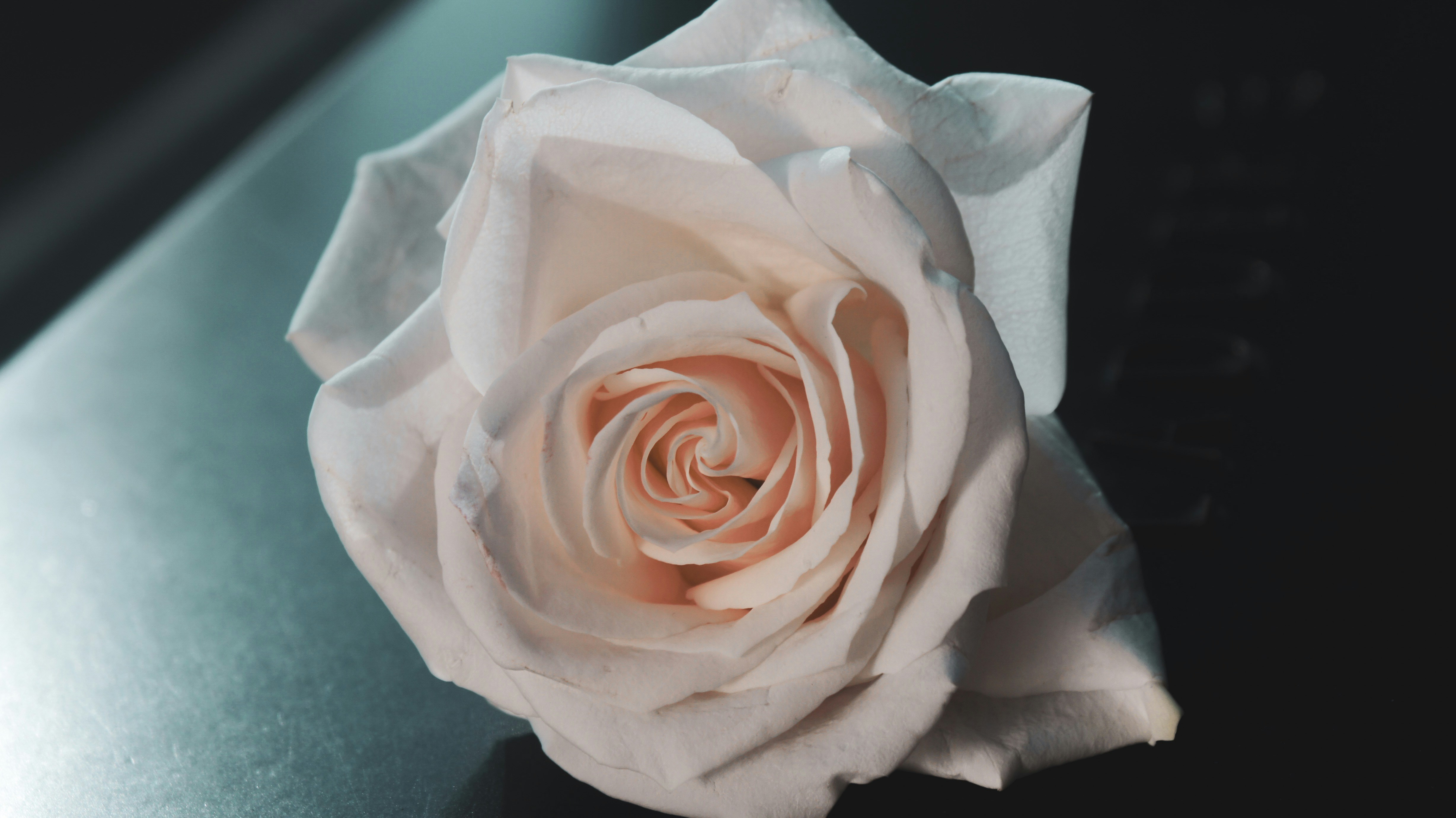 Photo by skyler_sawyer