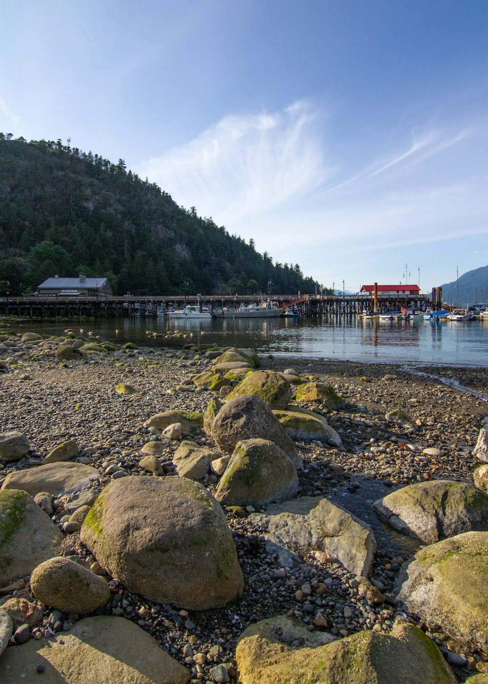 a body of water surrounded by rocks and trees