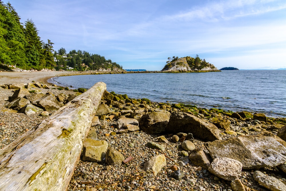 a wooden bench sitting on top of a rocky beach