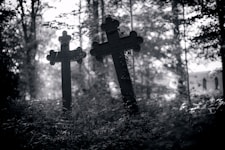a couple of crosses sitting in the middle of a forest