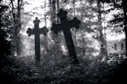 a couple of crosses sitting in the middle of a forest