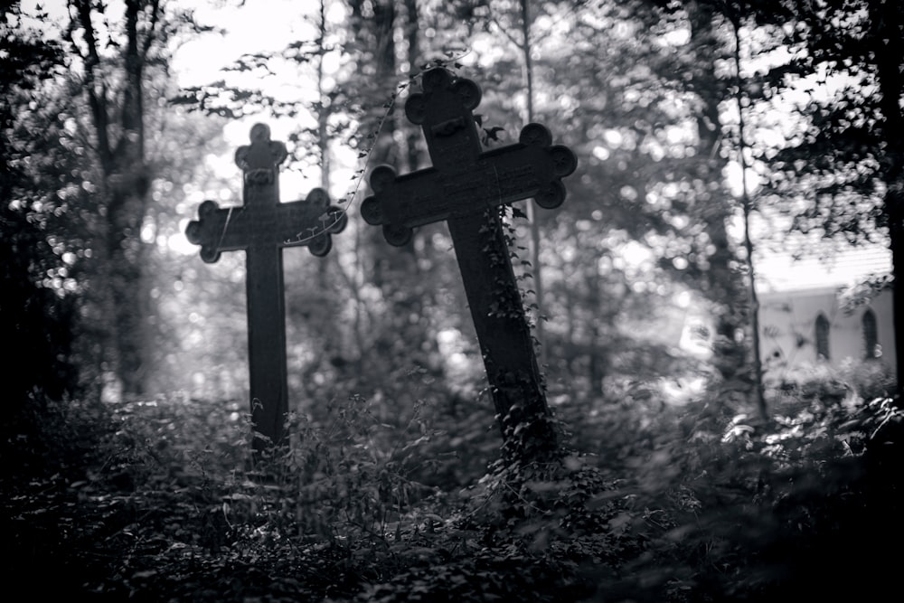 a couple of crosses sitting in the middle of a forest