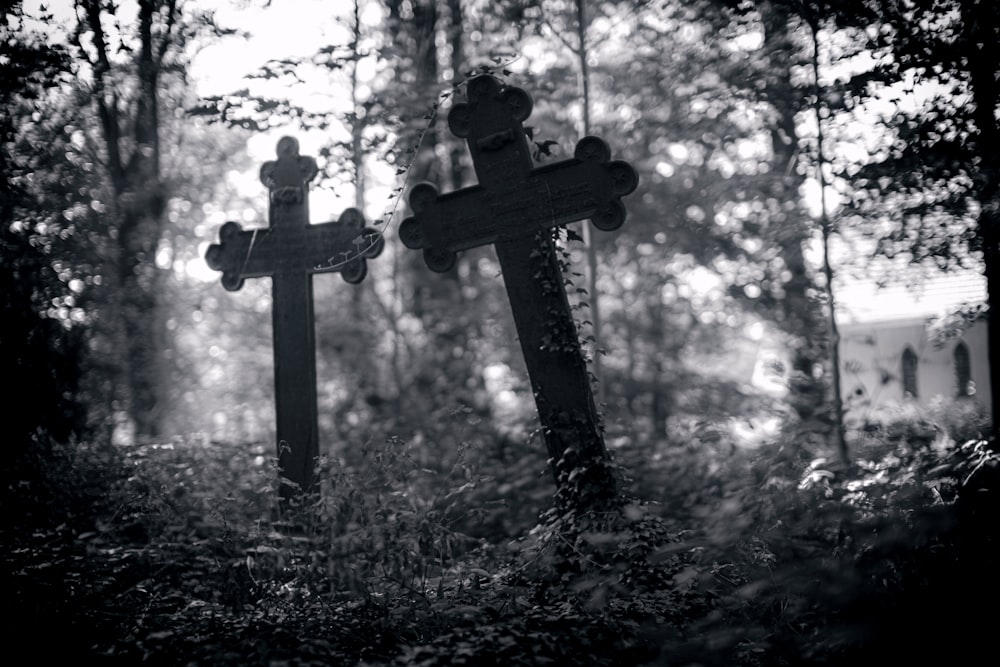 Un par de cruces sentadas en medio de un bosque