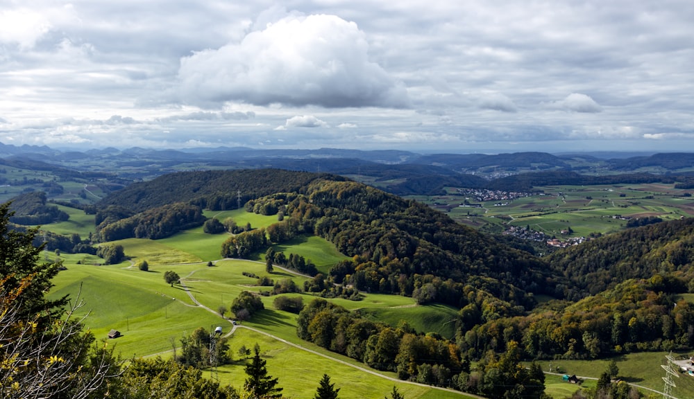 a scenic view of a green valley with mountains in the background