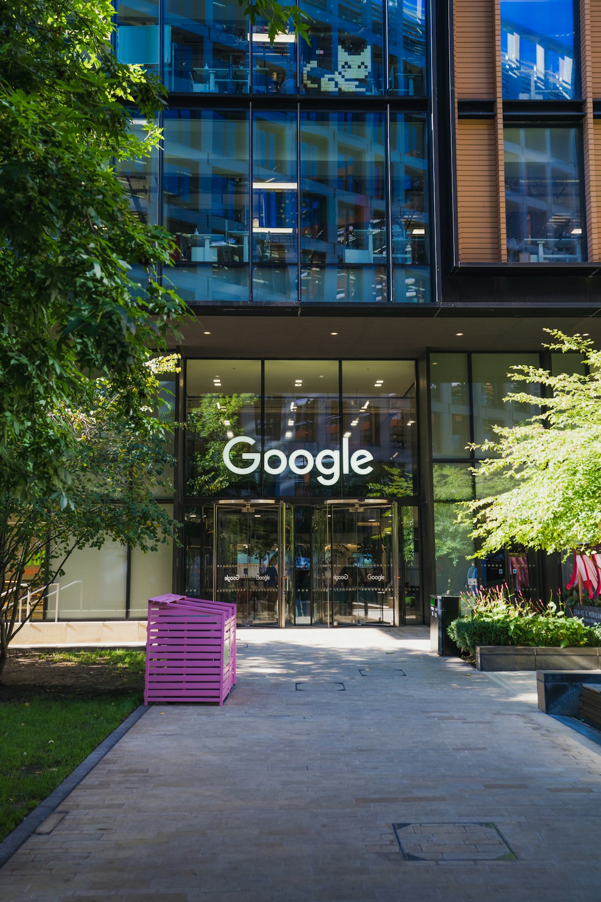 Google: bir girişimcilik hikâyesi