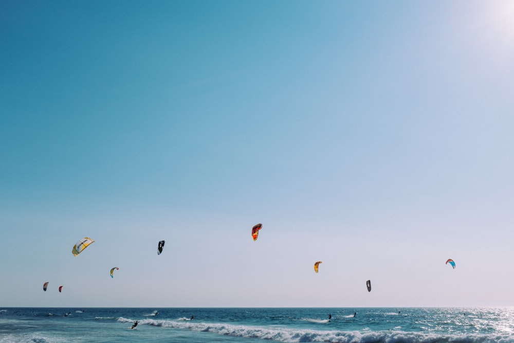 a group of kites flying over the ocean on a sunny day