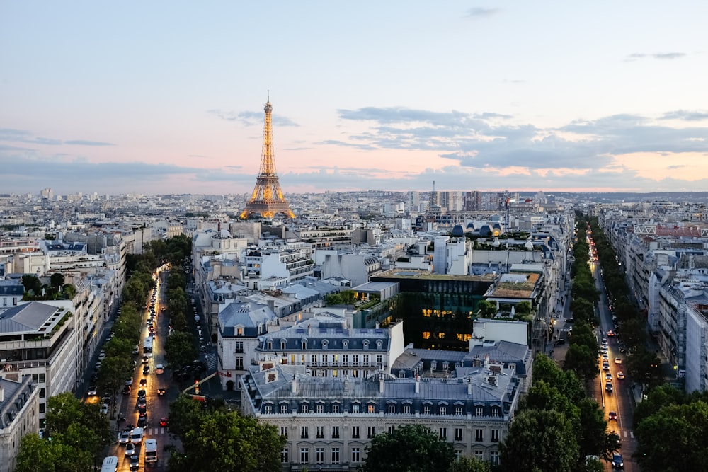 the eiffel tower towering over the city of paris