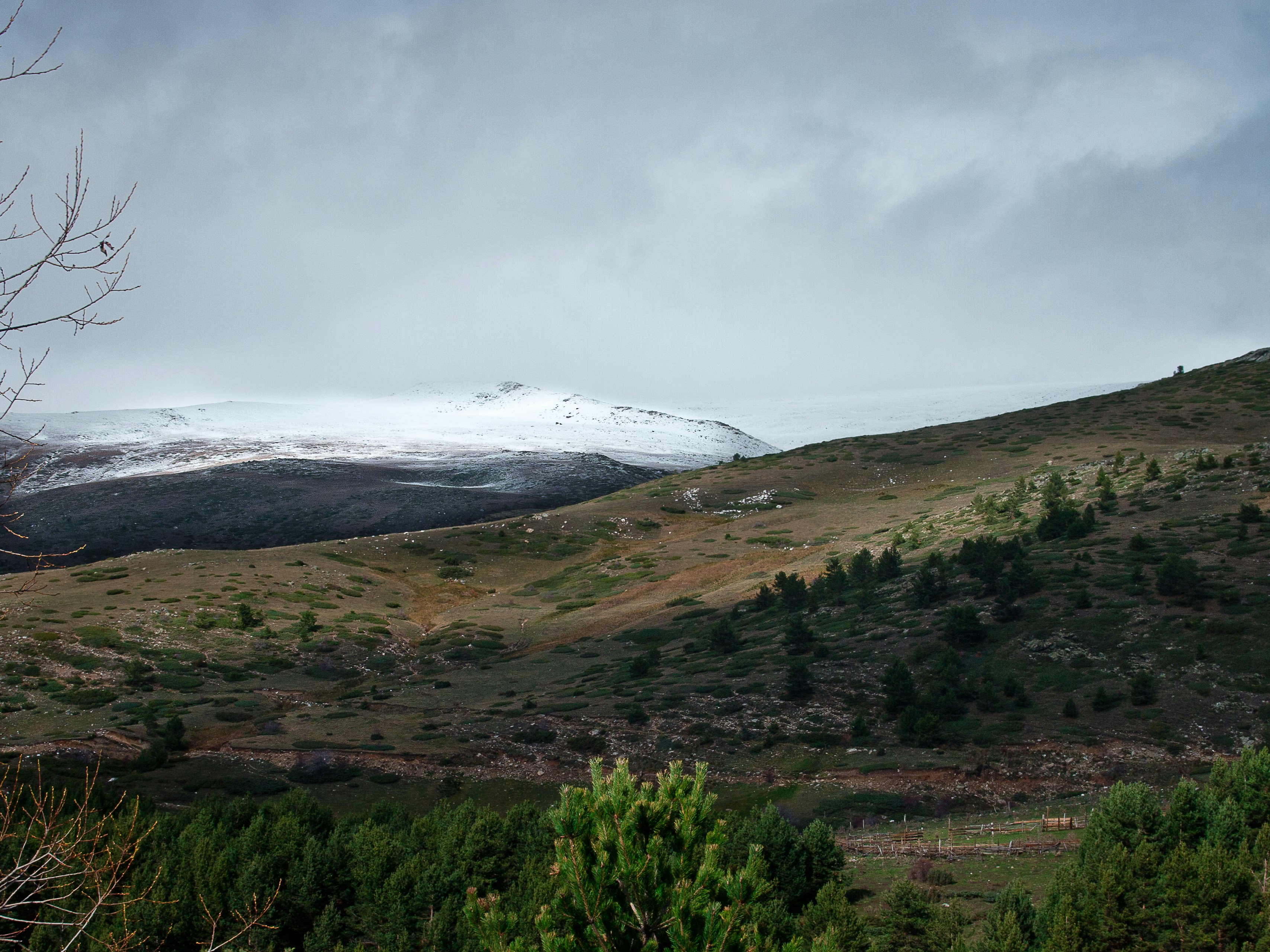 Photo by tassomitsarakis