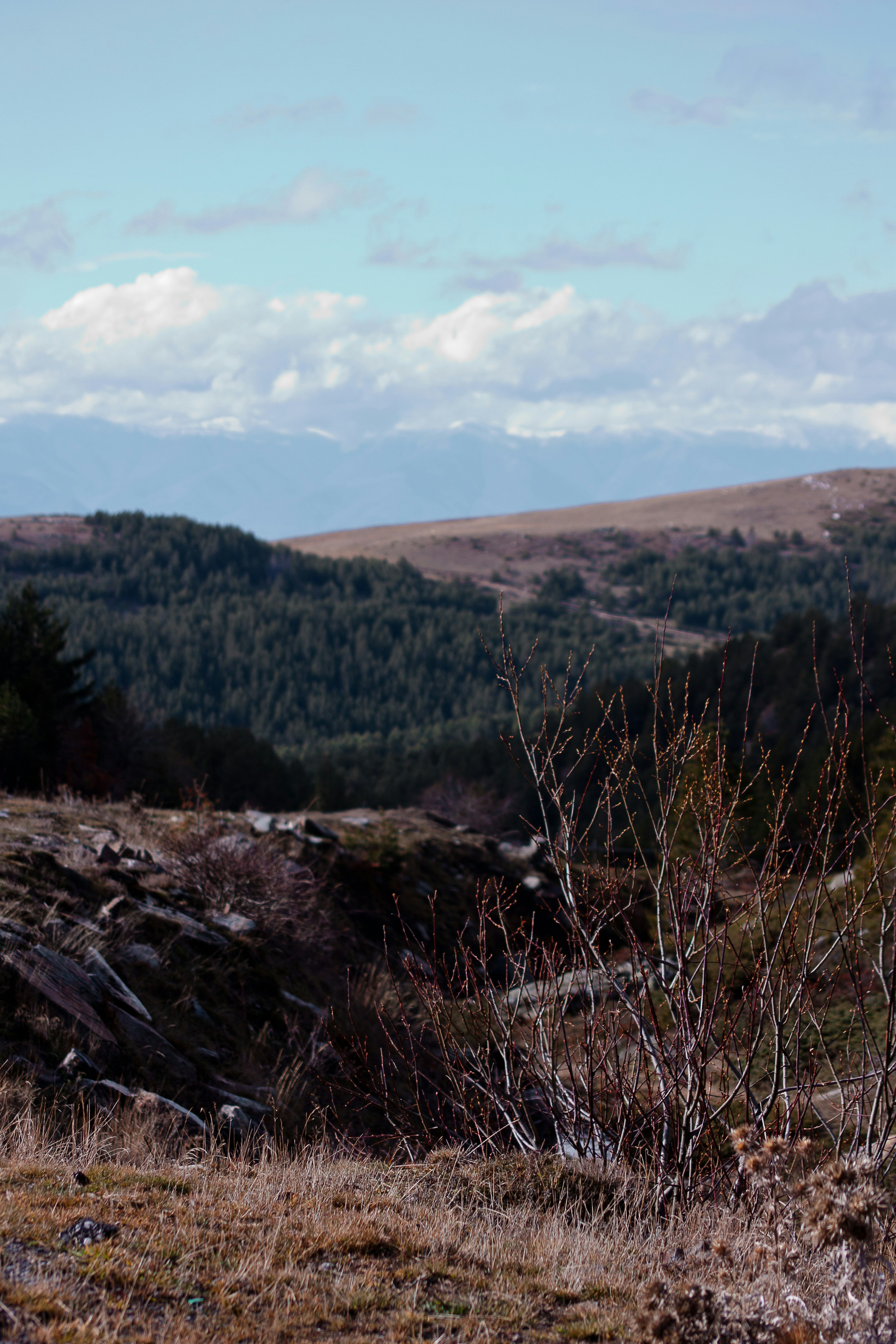 Photo by tassomitsarakis