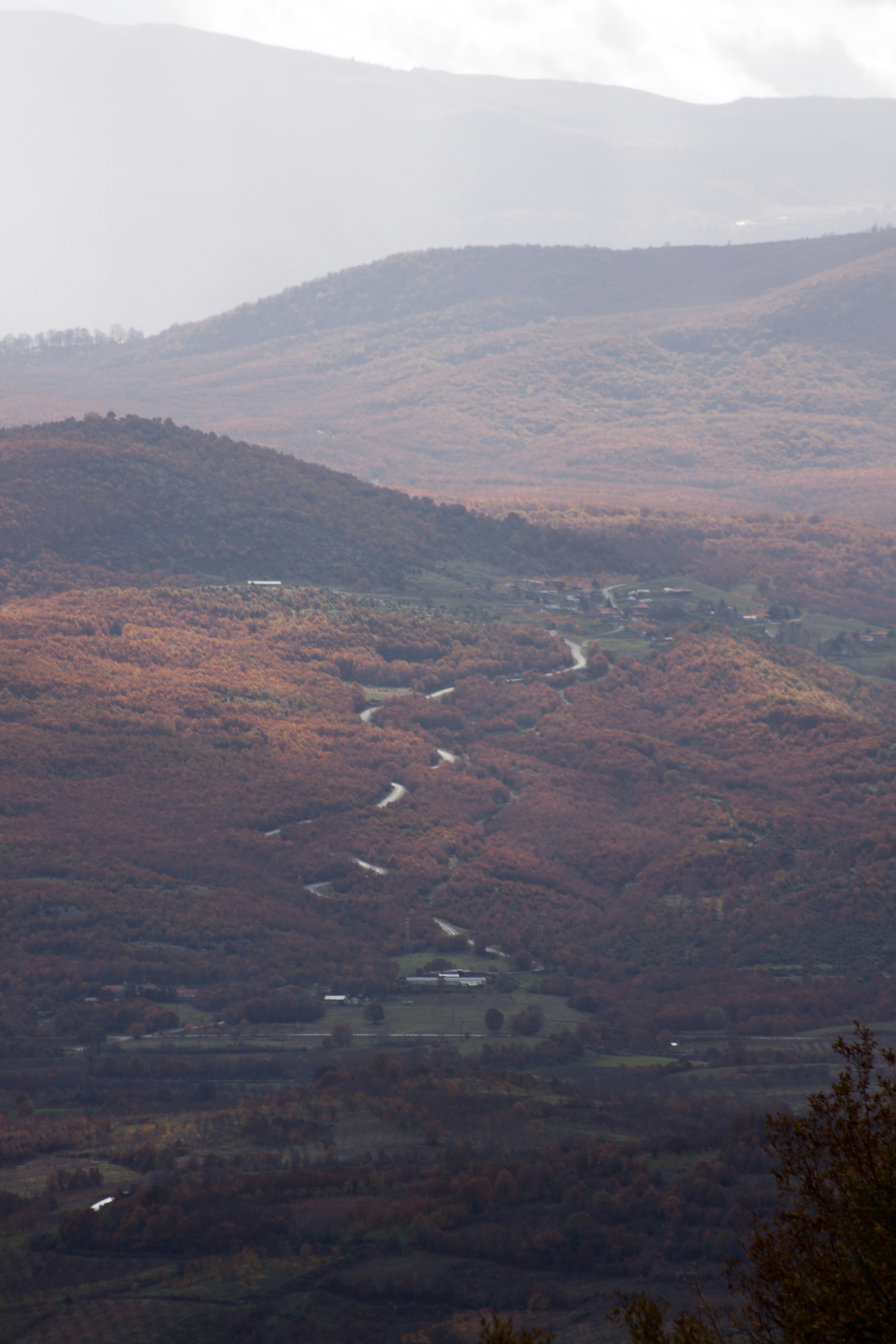 Photo by tassomitsarakis