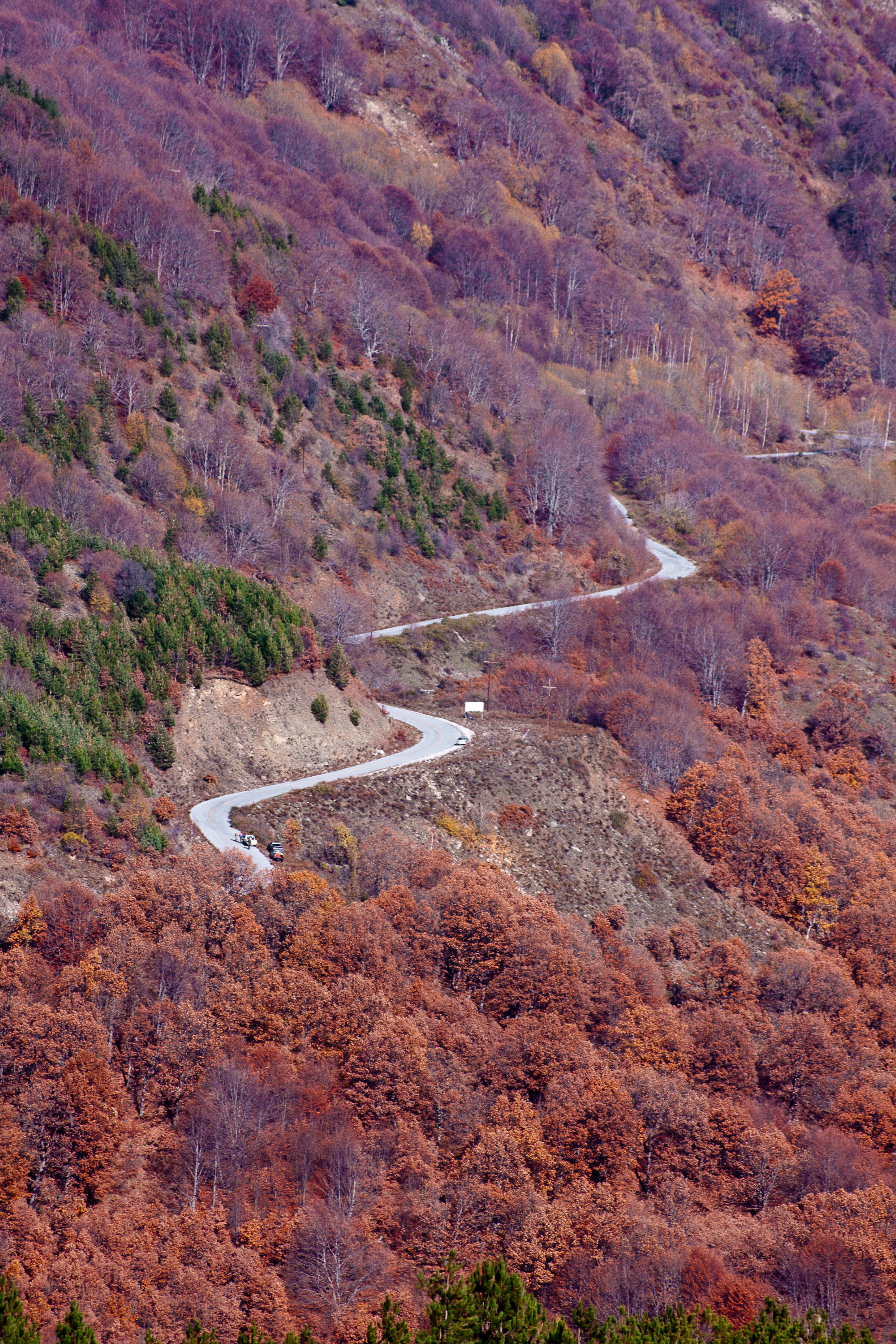 Photo by tassomitsarakis