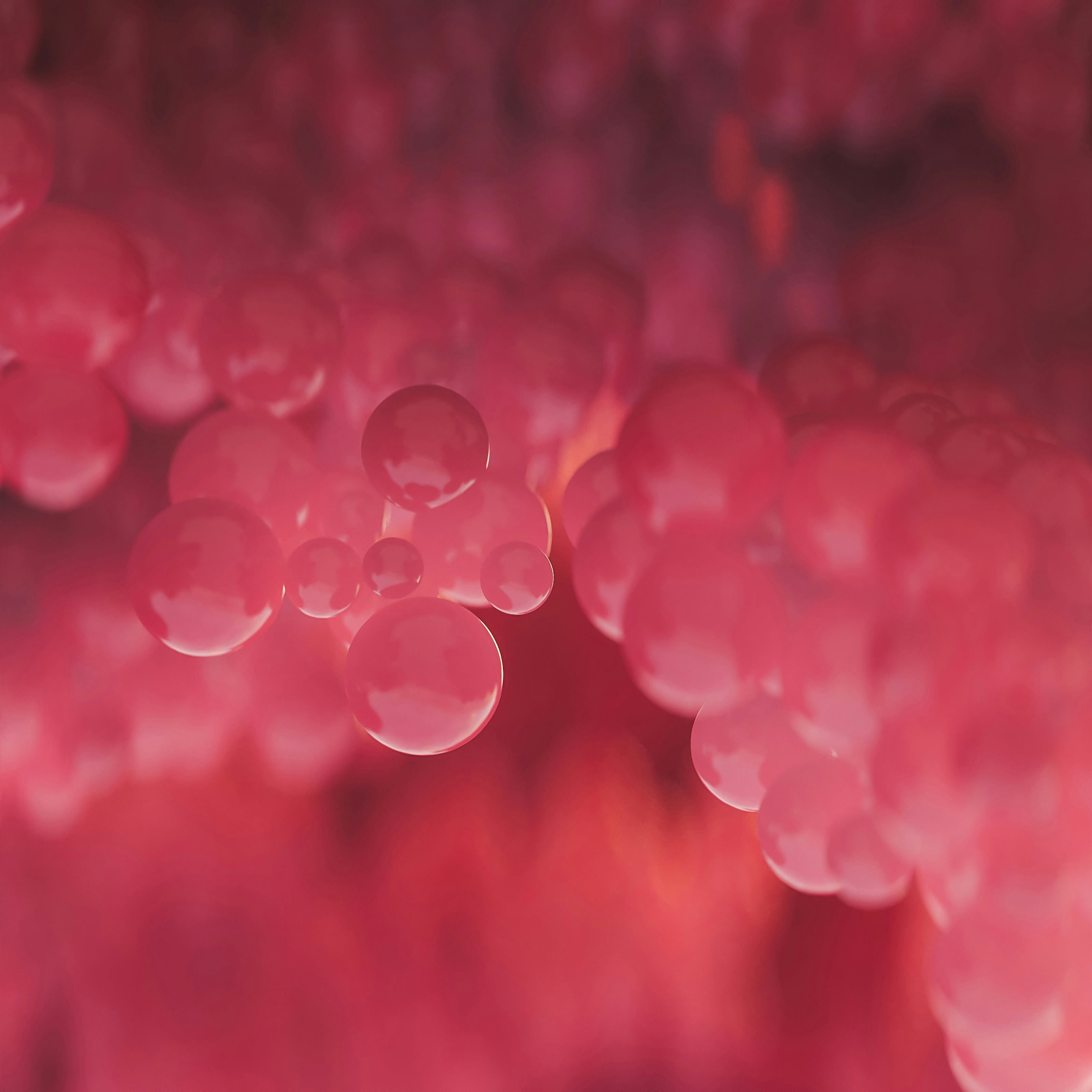 Navigating Organizational Complexity: Insights from Margaret Wheatley's "Leadership and the New Science"