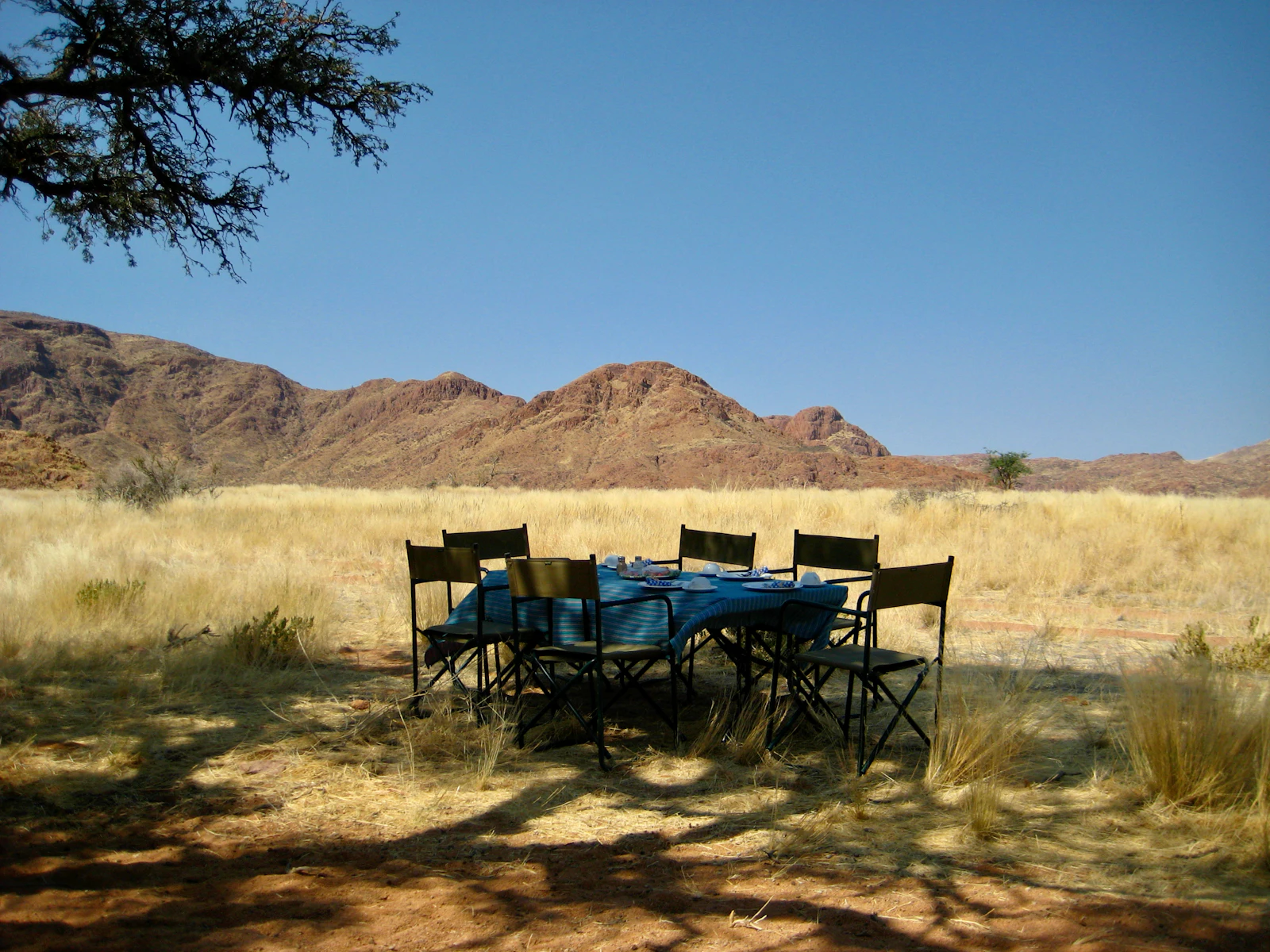 Stock image: a lunch table and camp chairs set in the shade of a tree in dry grass