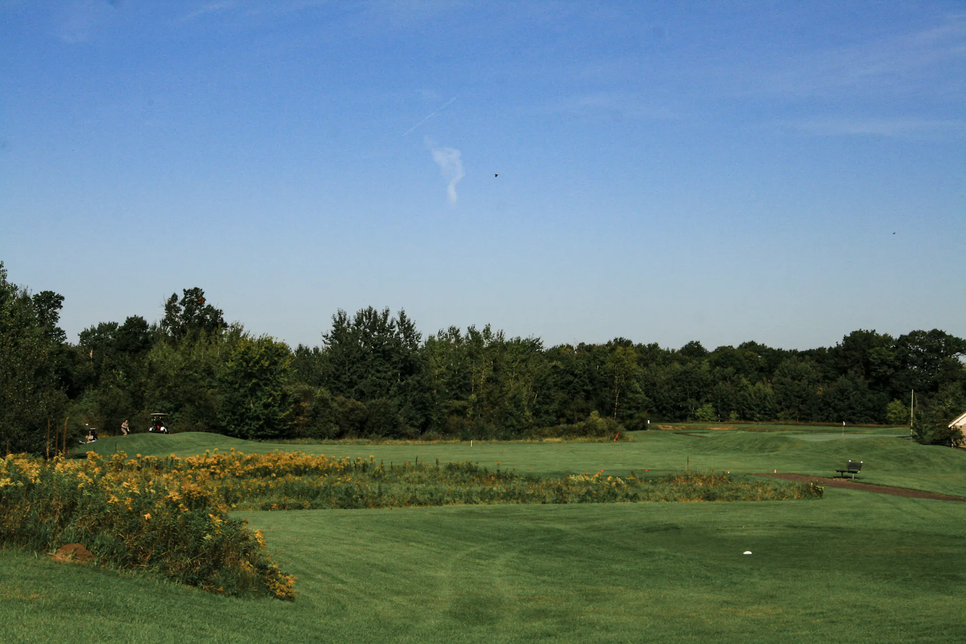 US Open Golf Championship