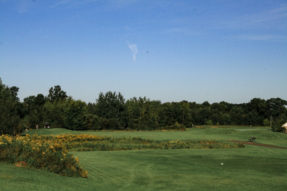 a view of a golf course from a distance