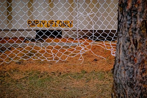 A damaged chain-link fence extends across a grassy area, with pine needles covering the ground. Behind the fence is a drainage pipe attached to a building with a sign that reads 'EMPTY LEFT ONLY'. A tree trunk is seen on the right side of the image.